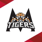 Tigers